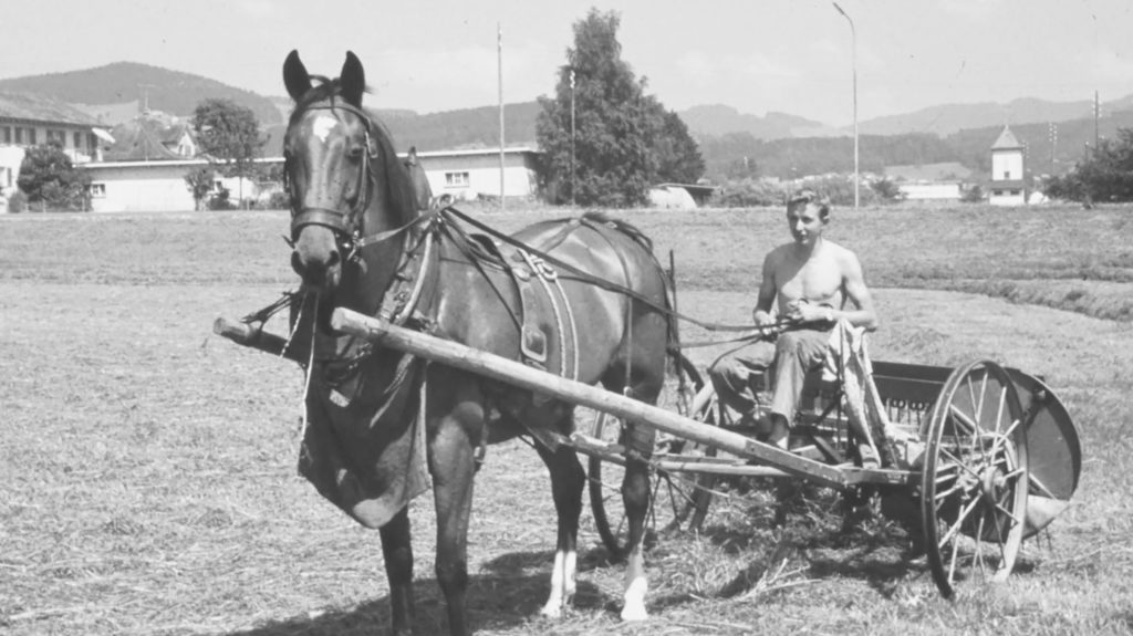 Ueli Jucker mit Pferd