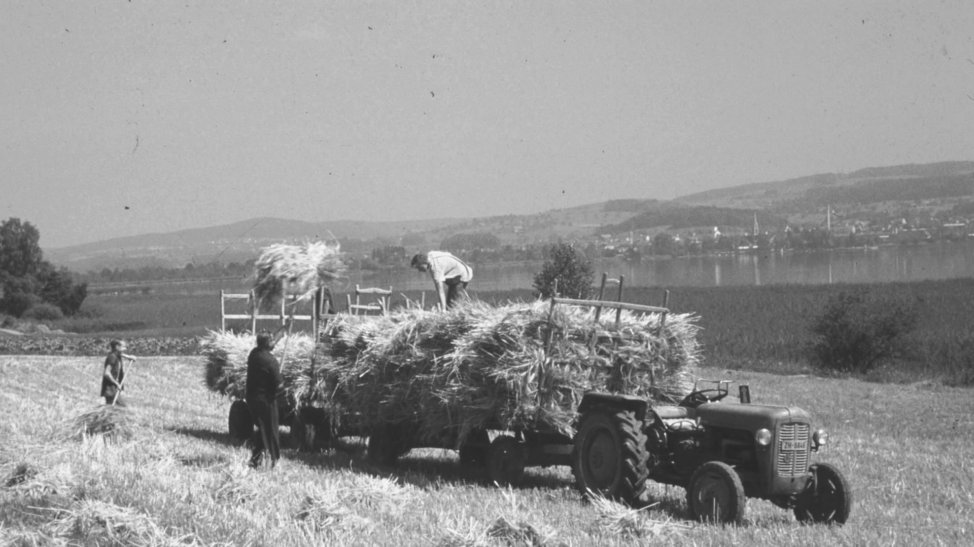 Heuwagen auf Feld