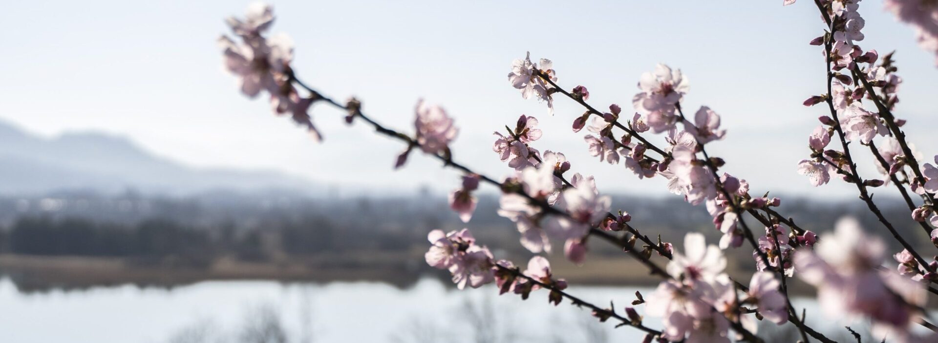 Frühling auf dem Juckerhof