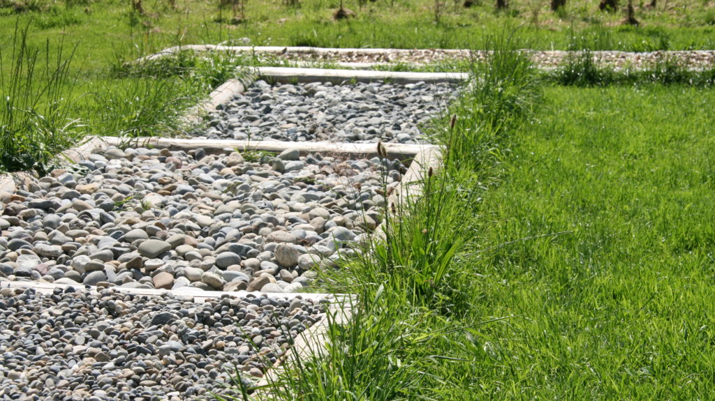 Juckerhof Barfusserlebnis