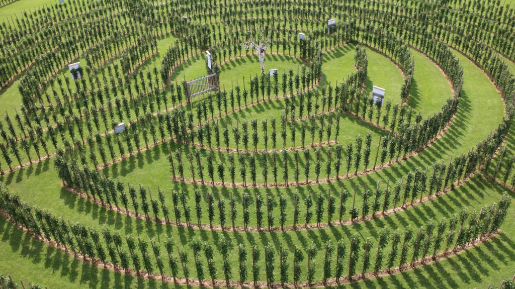 Juckerhof ÖpfelGarte Labyrinth