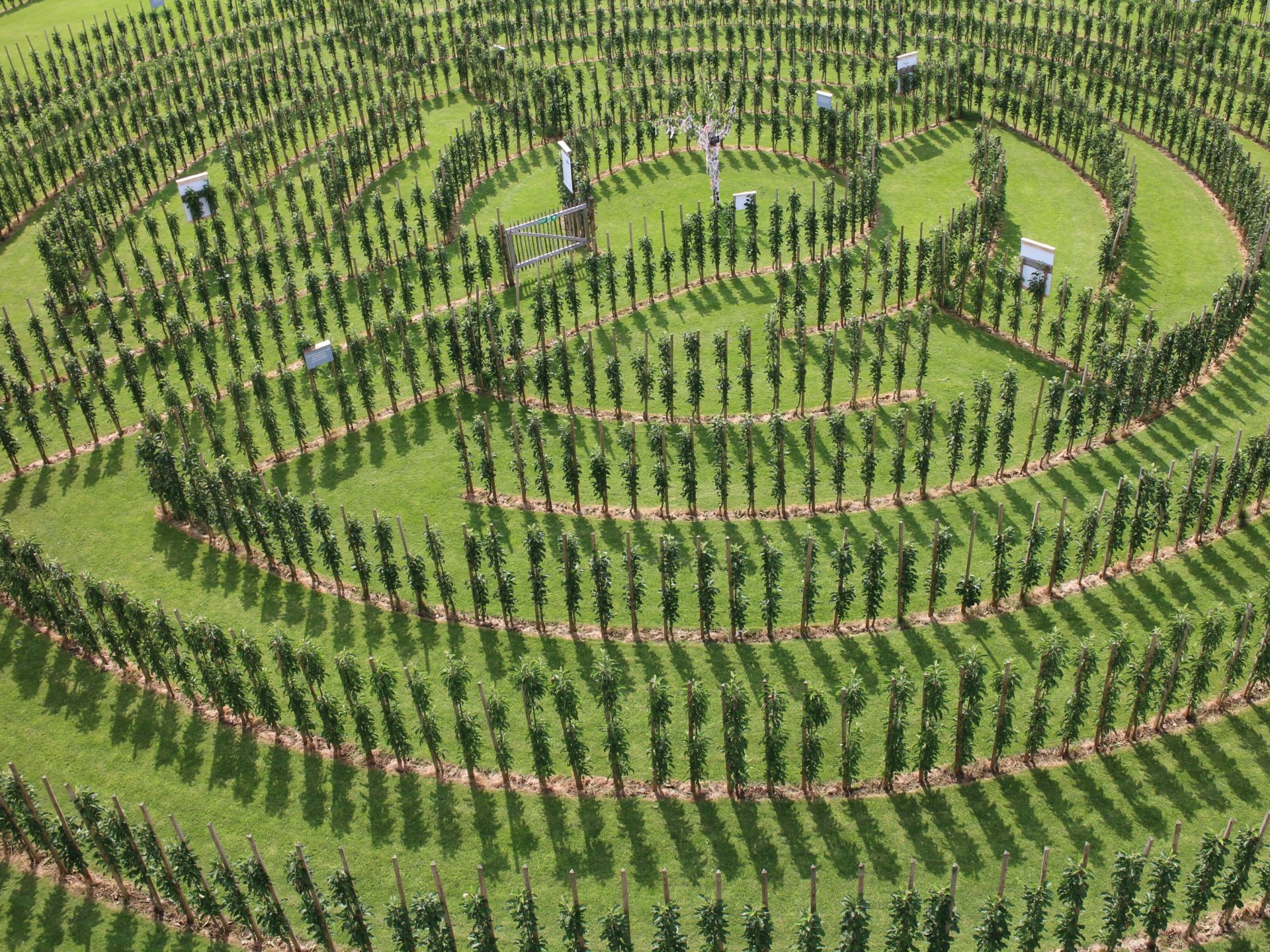 Juckerhof ÖpfelGarte Labyrinth