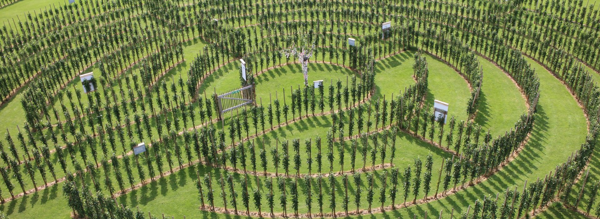 Juckerhof ÖpfelGarte Labyrinth