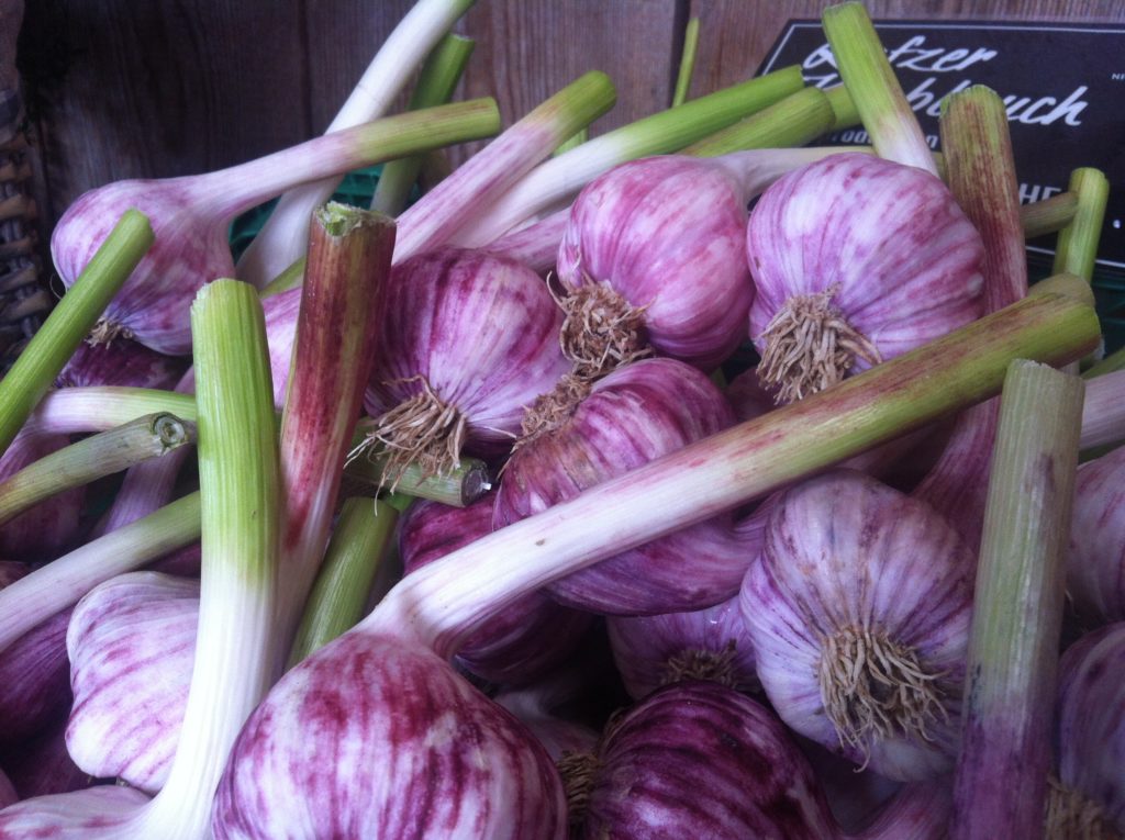Knoblauch aus Rafz