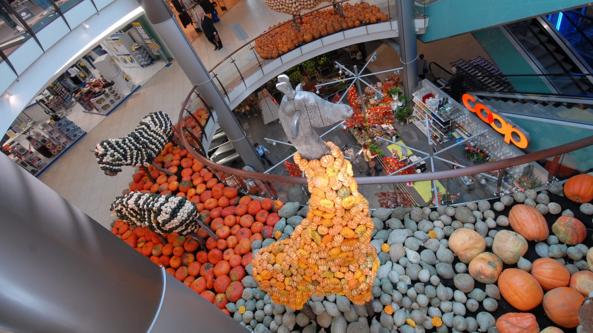 Kürbis Ausstellung mieten Einkaufszentrum