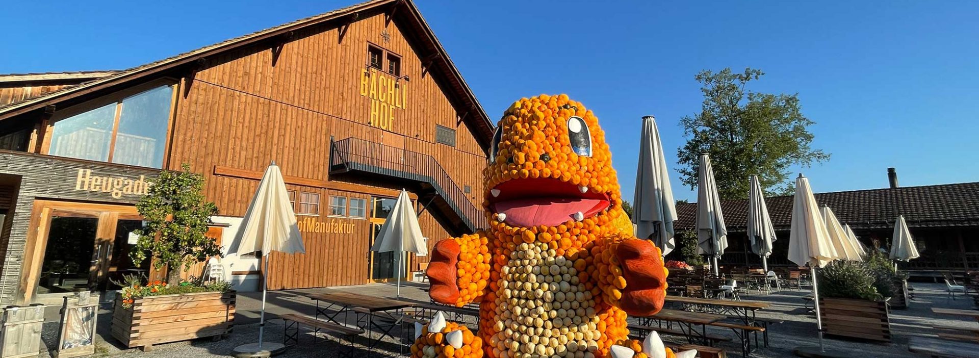 Kürbisausstellung Feuer Glumanda