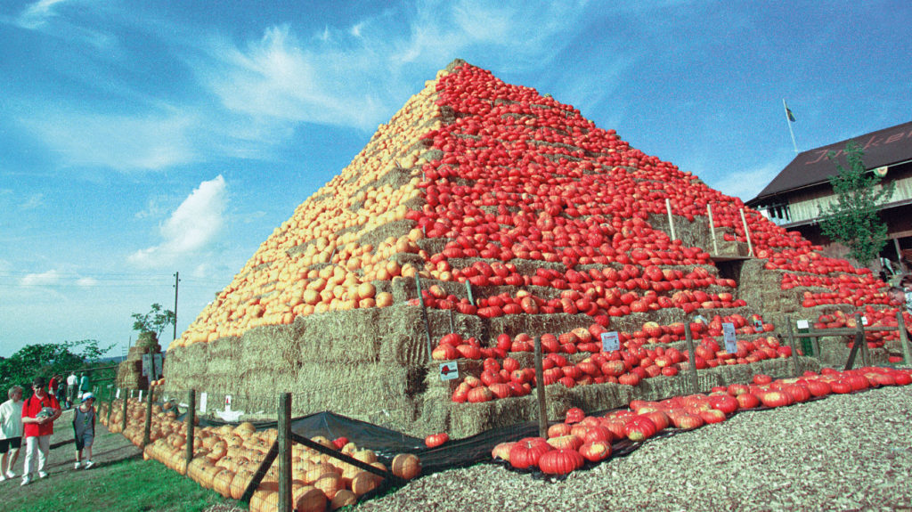 Pyramide aus Kürbissen