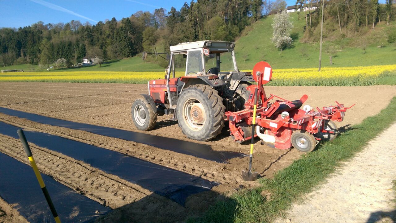 Krbis-Samen jetzt sen - FarmTicker
