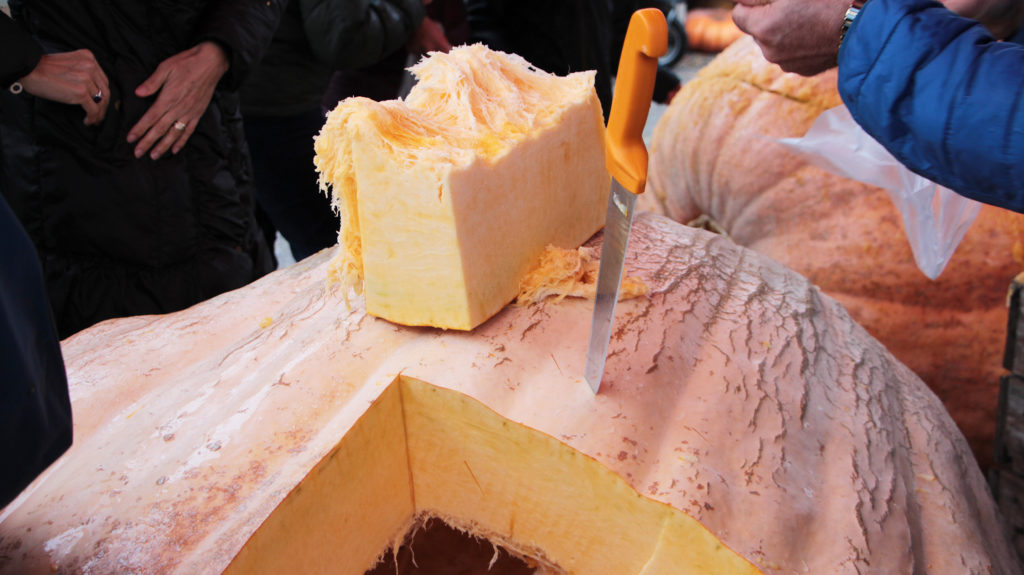 Kuerbisschlachtete