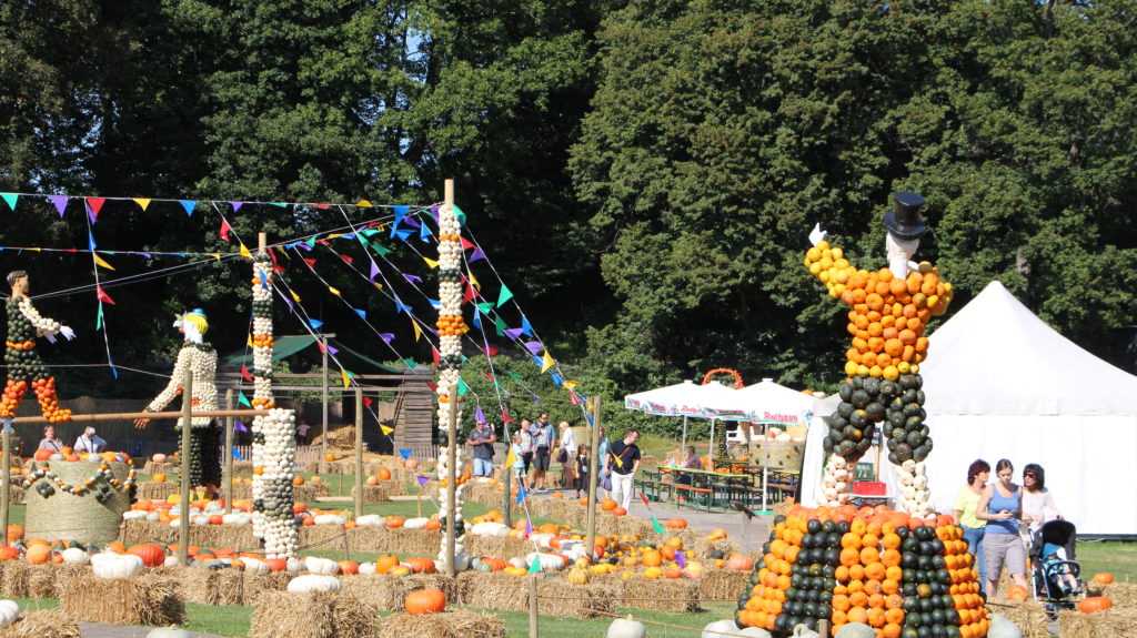 Kürbiszirkus Ausstellung