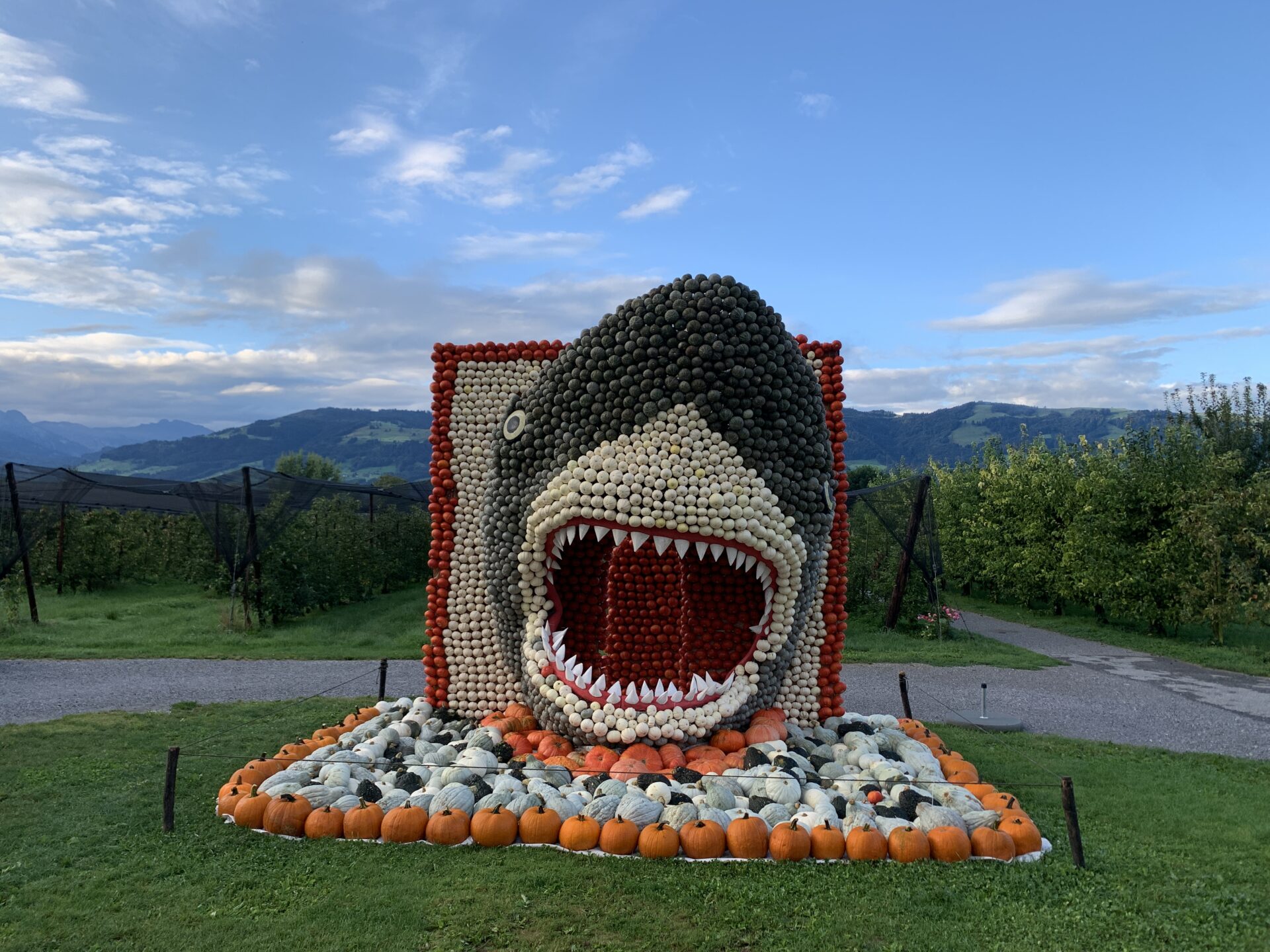 Kürbisfigur Hai Jona