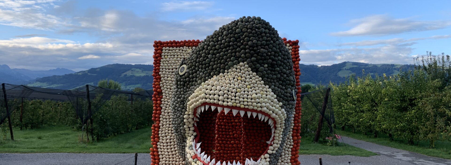 Kürbisfigur Hai Jona