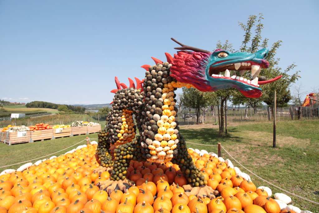 Kürbisfigur Juckerhof Drache