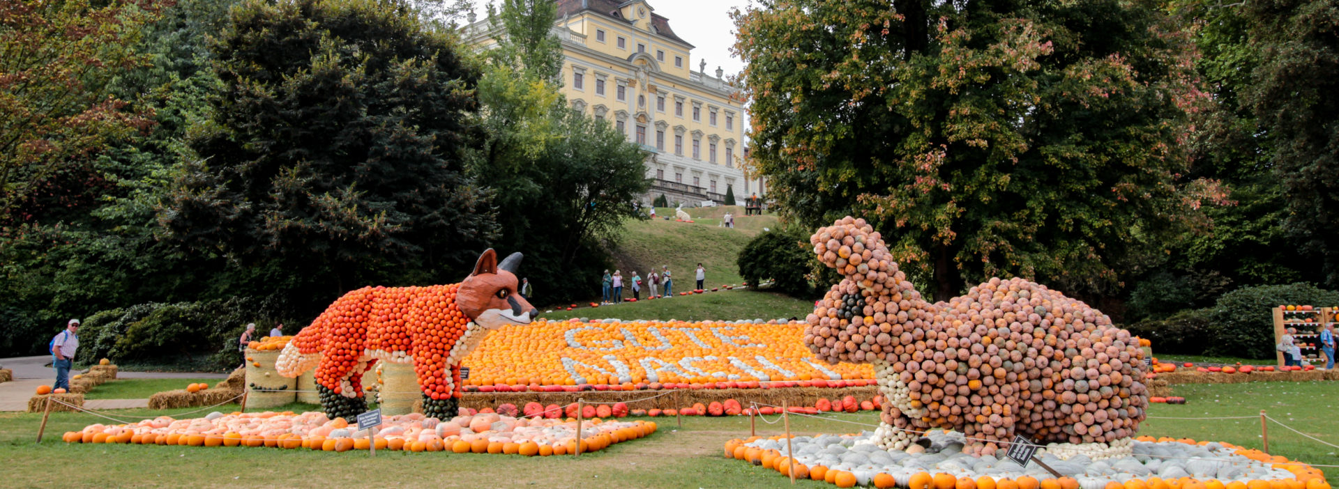 Ludwigsburg Kürbisausstellung Wald