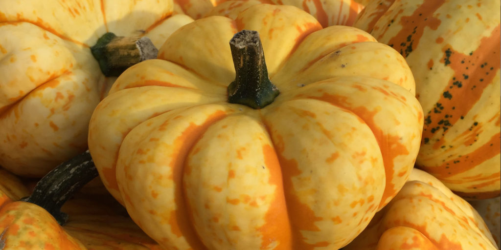 Mikrowellenkürbis backen