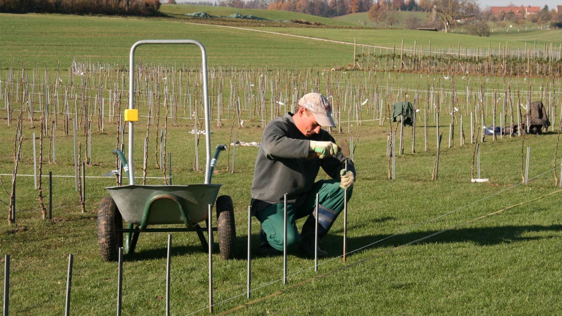 Mann auf dem Feld