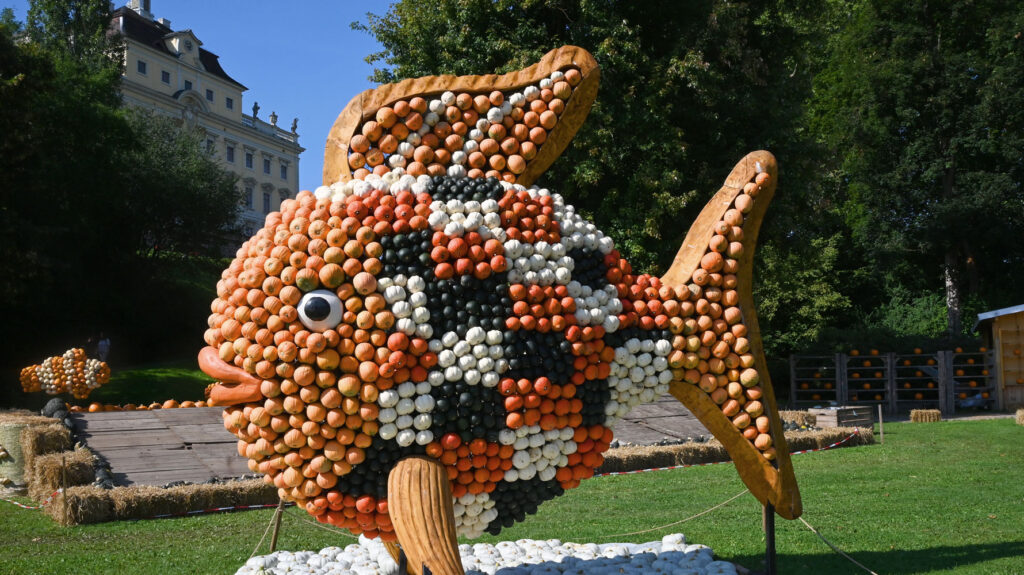 Regenbogenfisch Kürbisfigur in Ludwigsburg