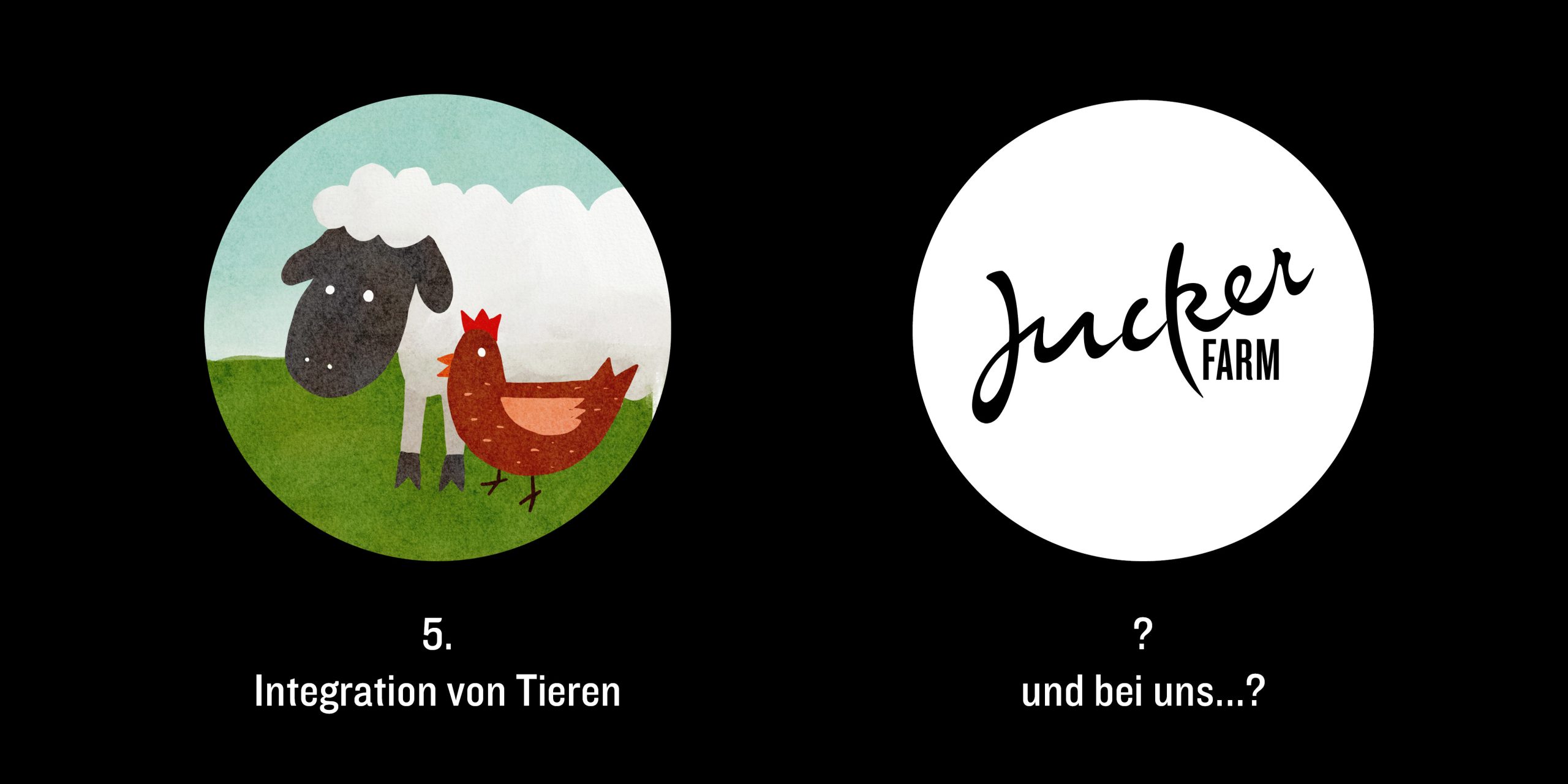 Die 5 regenerativen Prinzipien - Teil 3 - FarmTicker.ch
