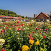 Römerhof
