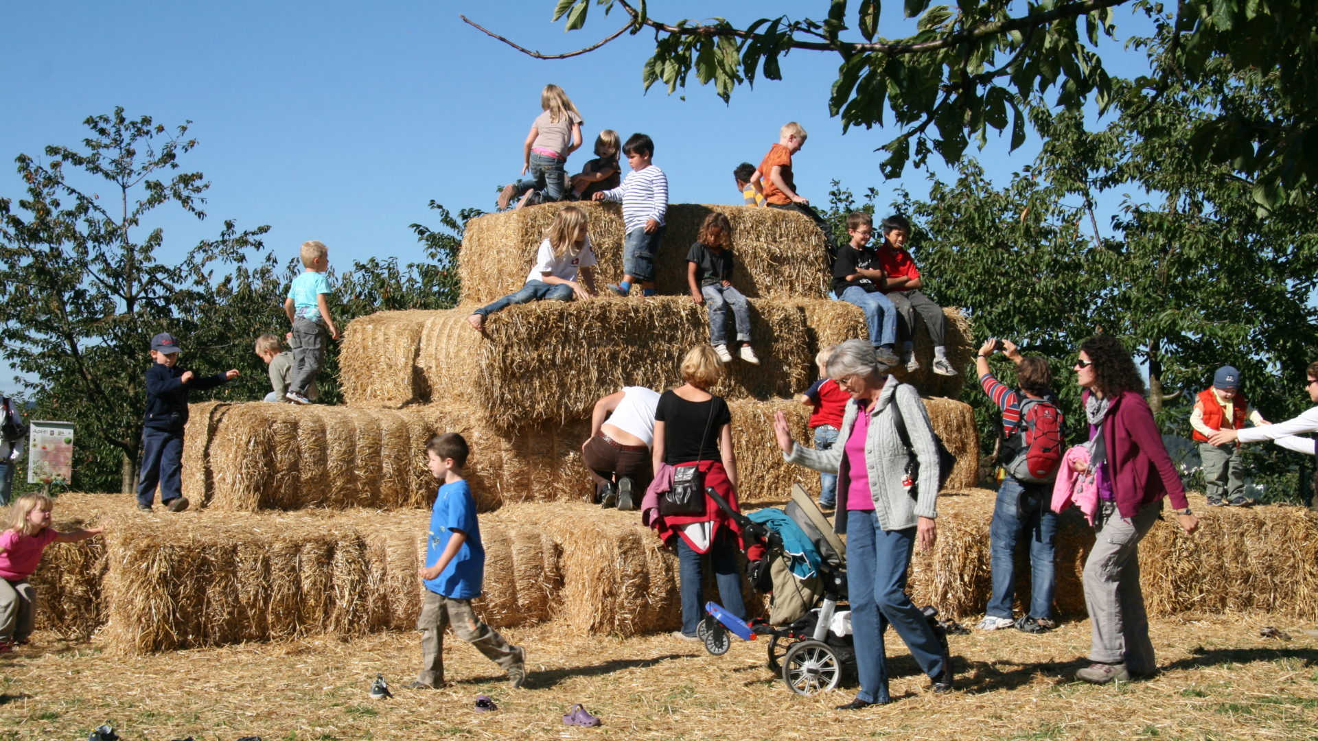 Strohburg Juckerhof