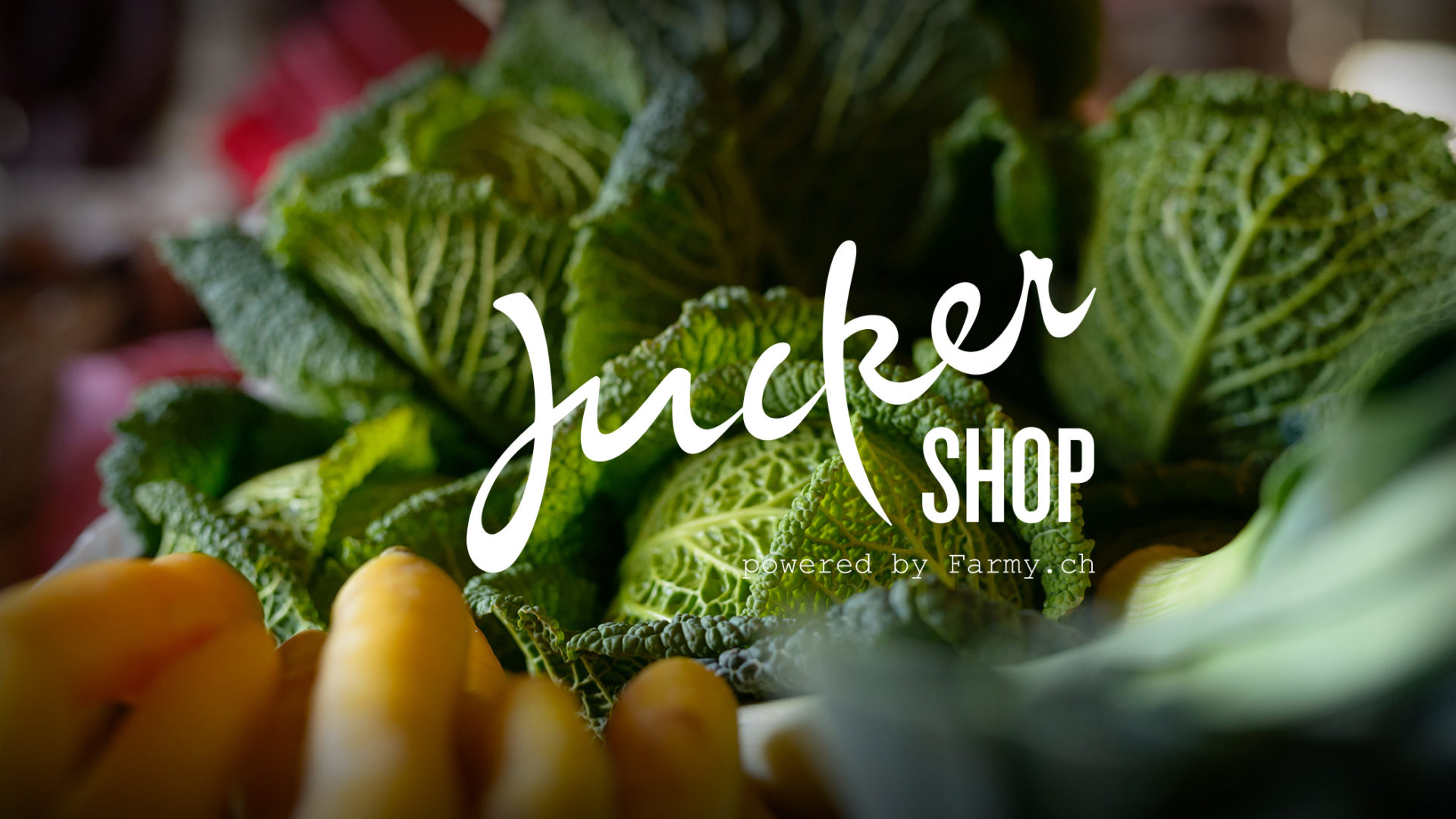 Juckershop - der Jucker-Online-Shop