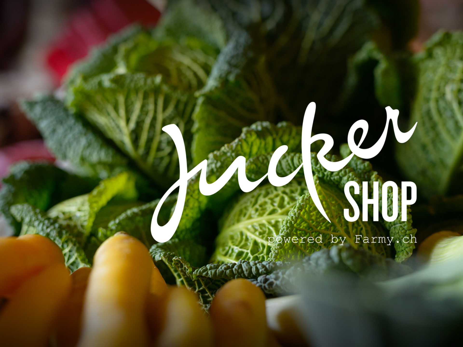 Juckershop - der Jucker-Online-Shop