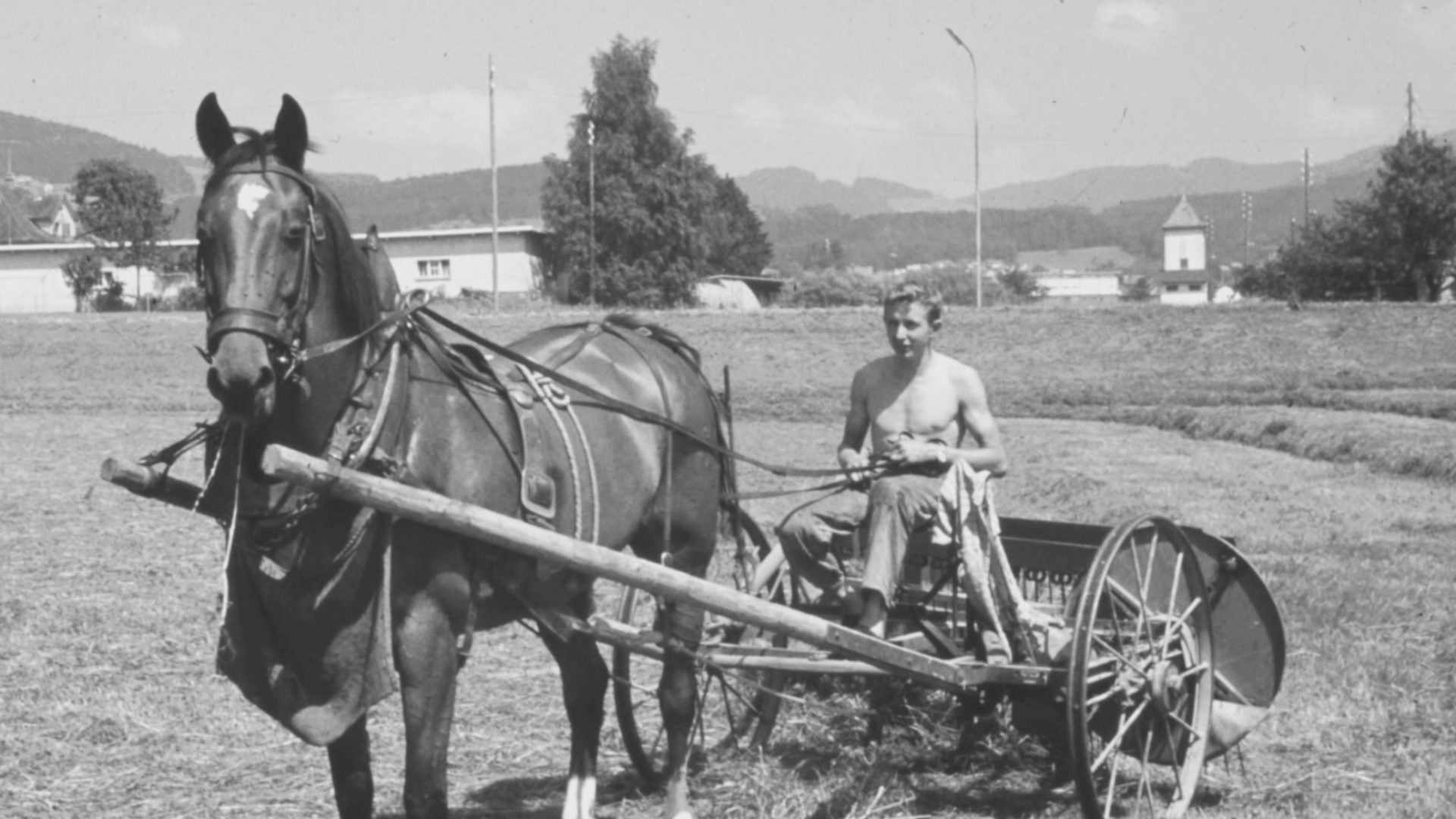 Mann mit Pferd auf Wagen