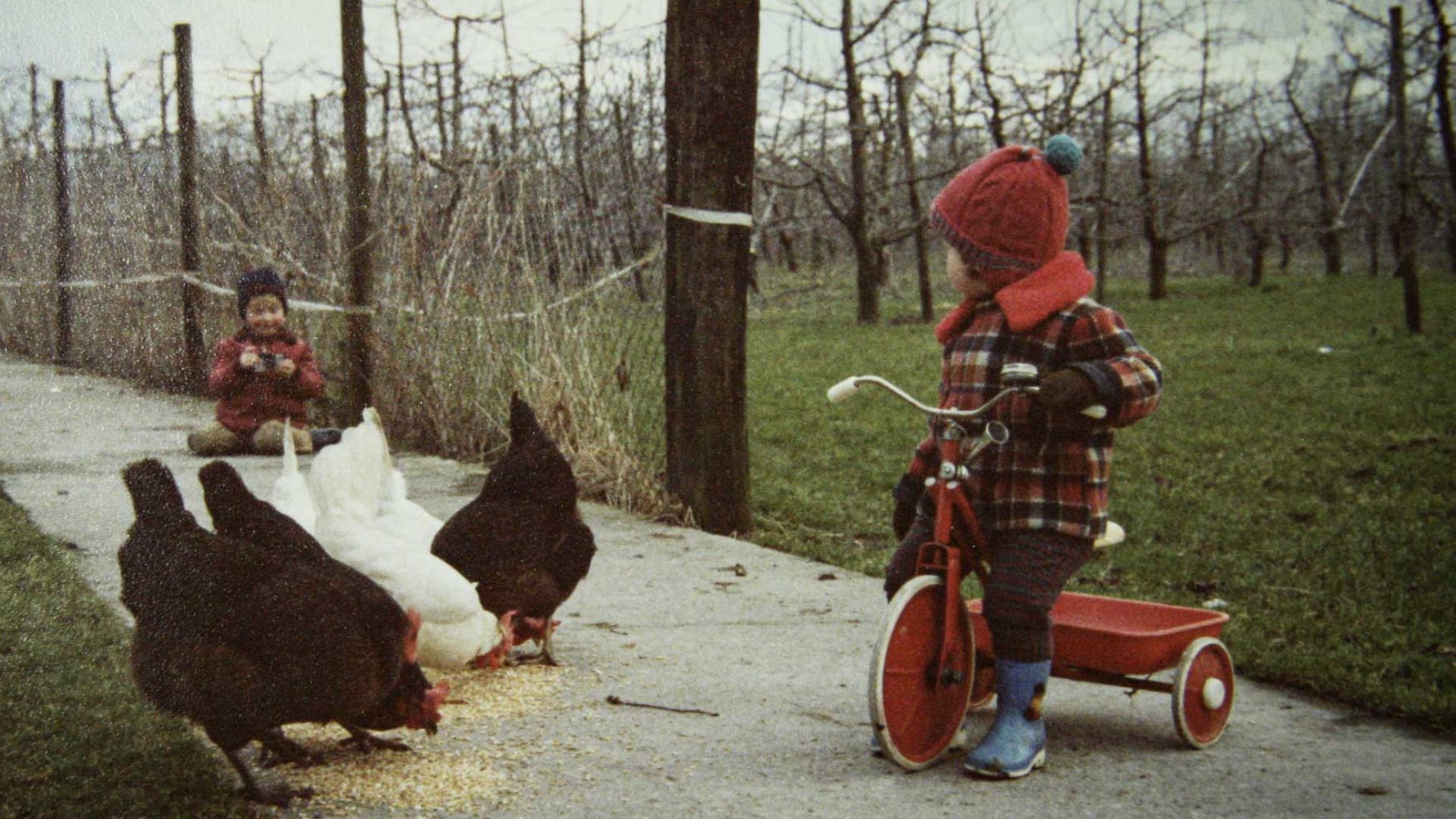 Kinder und Hühner