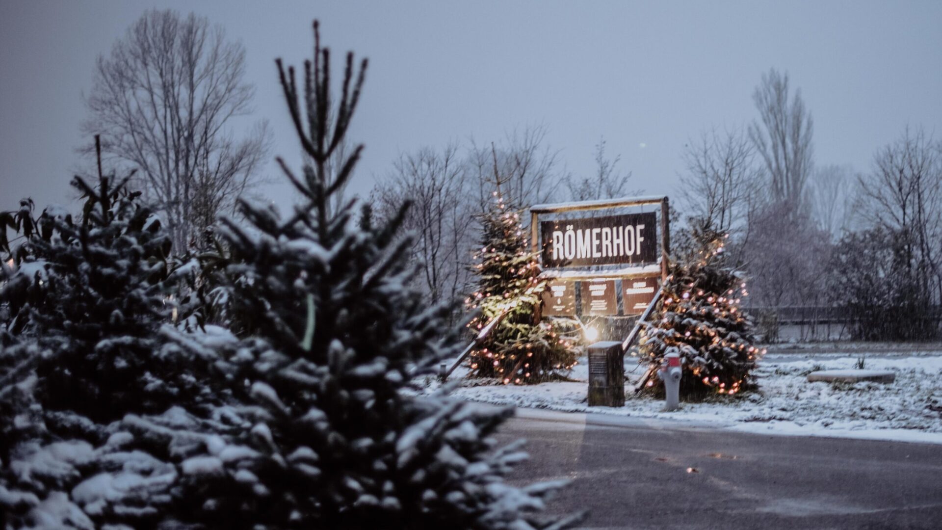 Weihnachtsbaum-Verkauf auf dem Römerhof