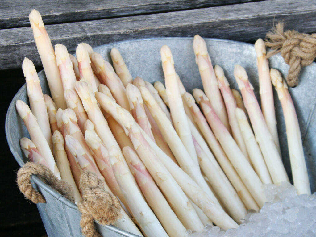 Weissspargel auf Eis