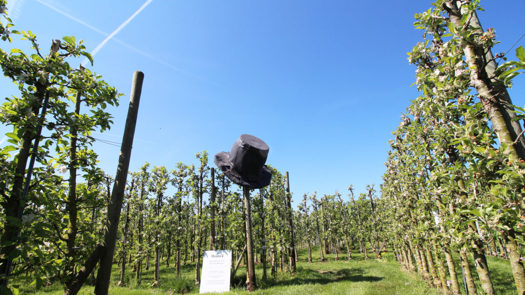 WunderGarte Hut Sonnenschutz