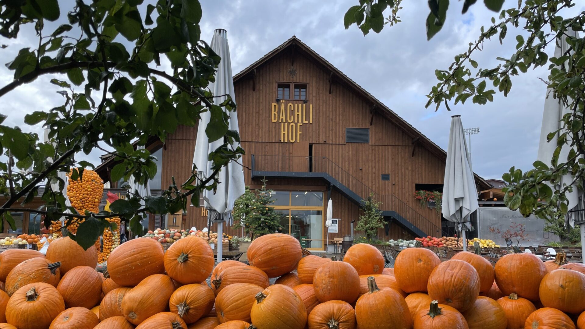 Bächlihof Jona im Herbst mit Kürbis