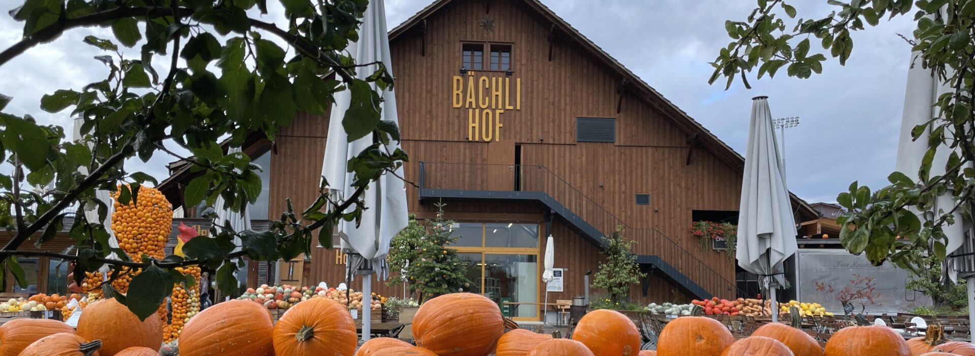 Bächlihof Jona im Herbst mit Kürbis