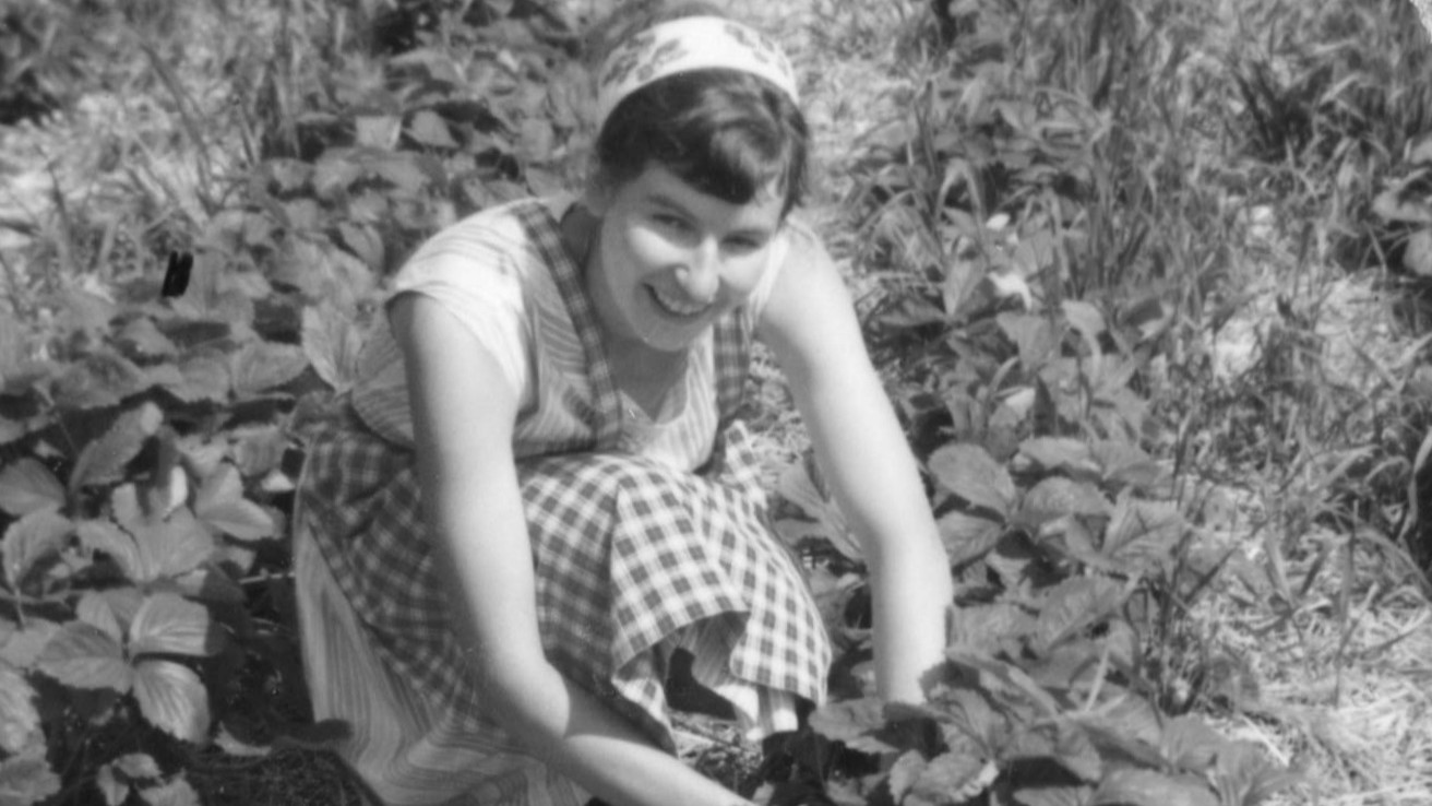 Elsbeth Jucker im Erdbeerfeld