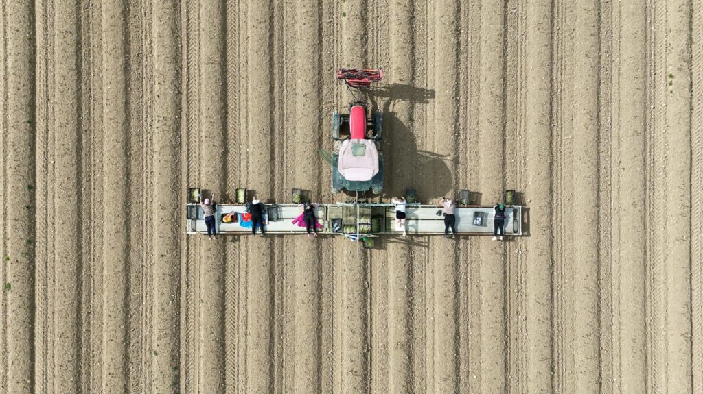 Spargelernte mit Melonenflieger