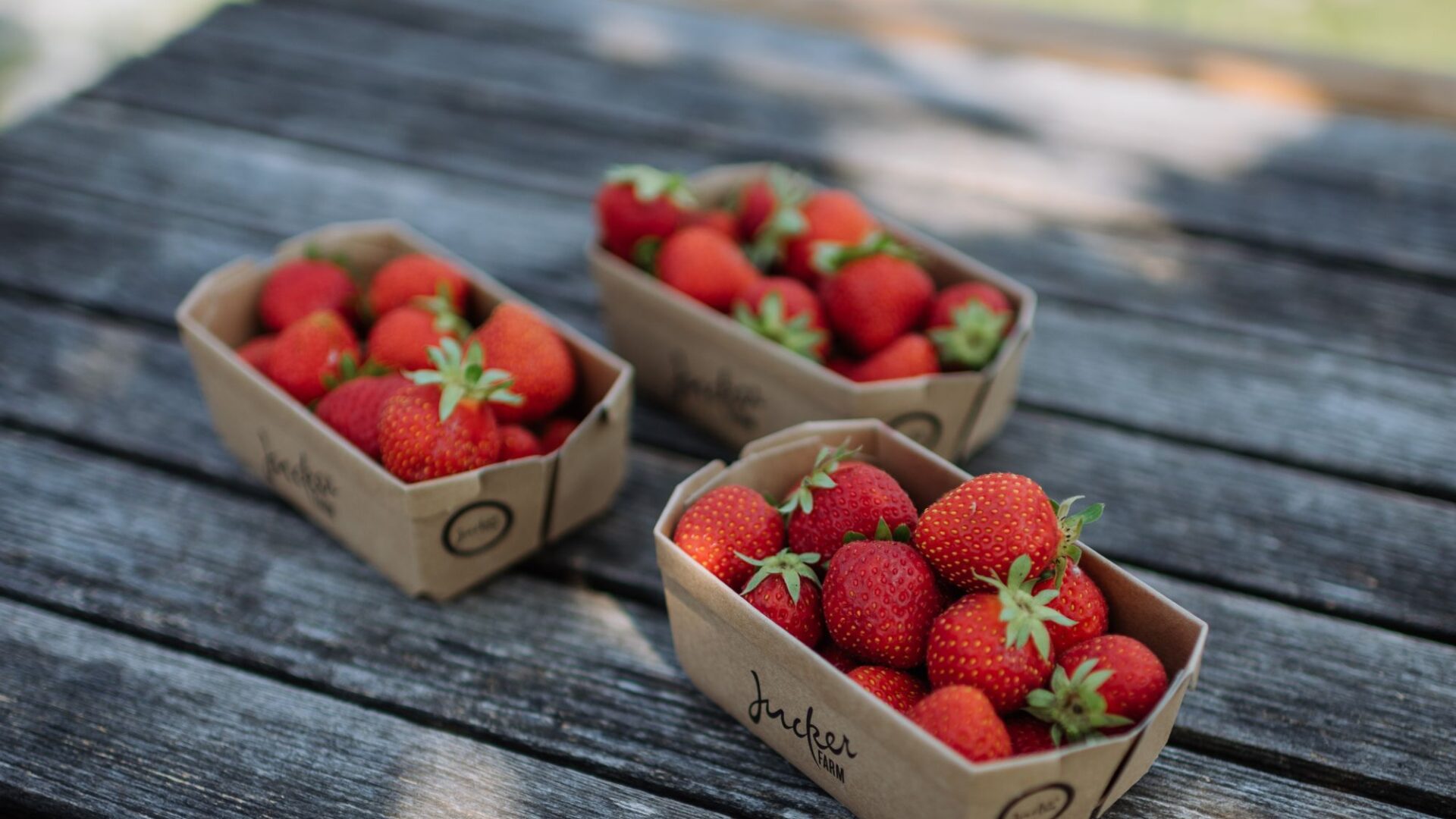 Erdbeeren in der Schale