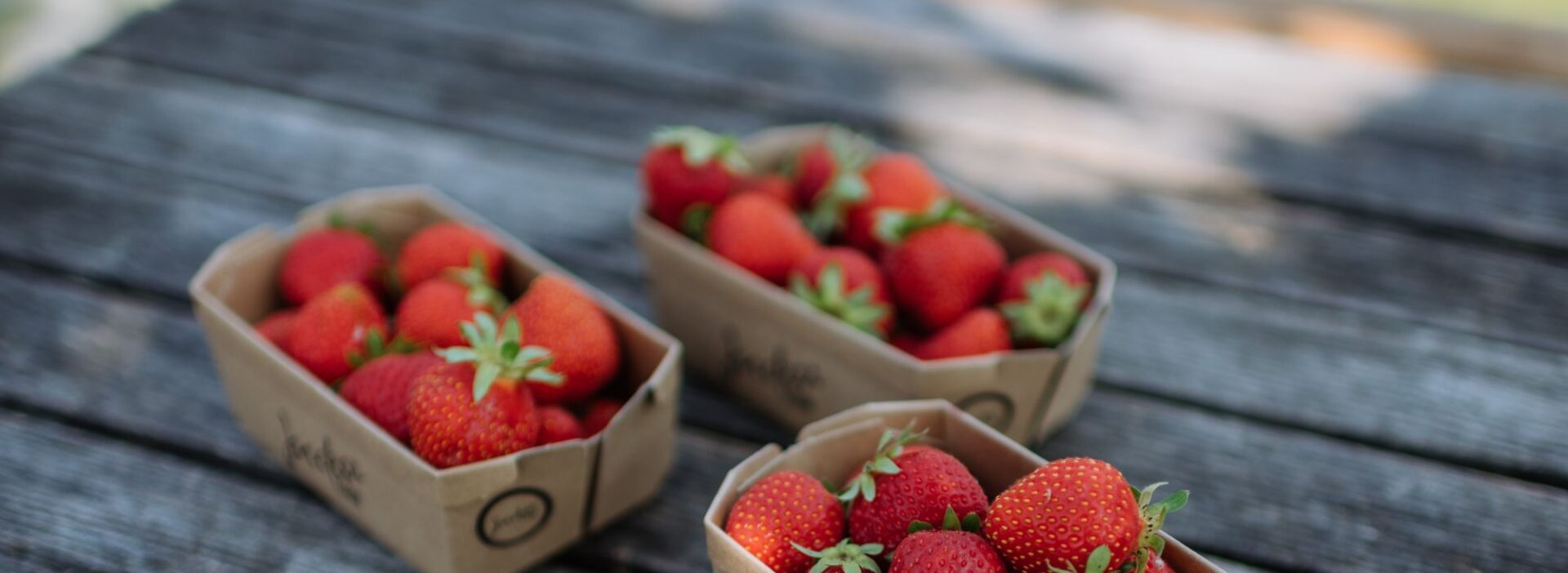 Erdbeeren in der Schale