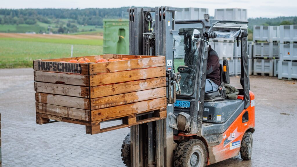 Kürbis Transport mit Gabelstapler