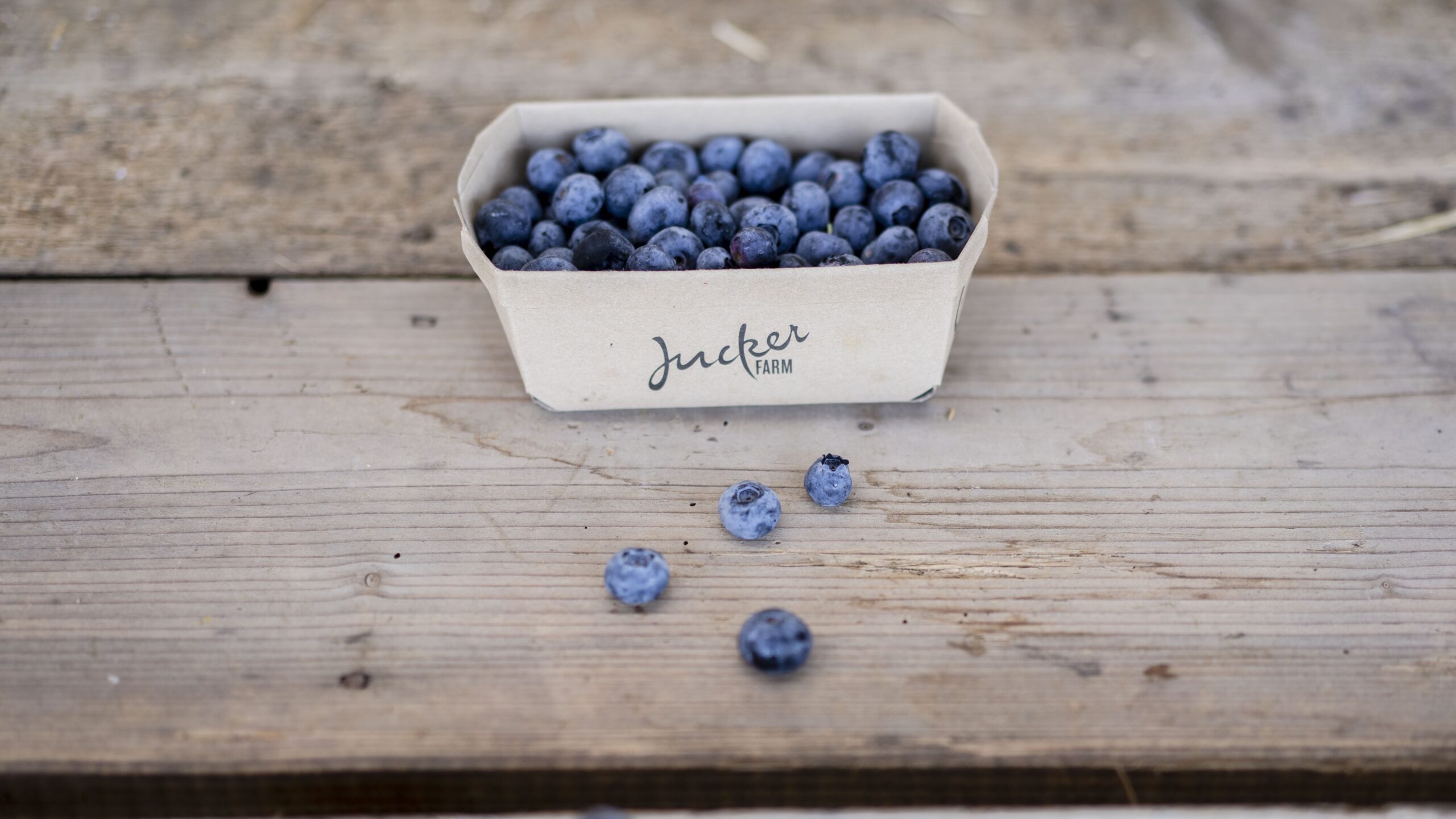 Heidelbeeren im Schälchen