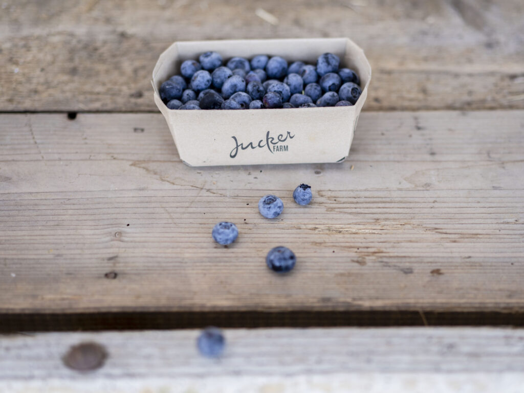 Heidelbeeren im Karton-Körbchen