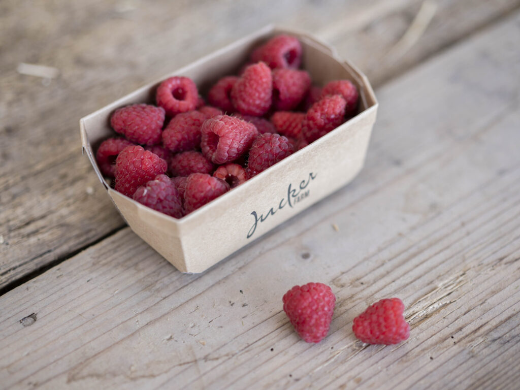 Himbeeren frisch vom Hof