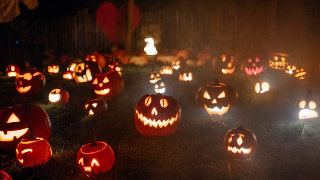 Pumpkin Light Night 2025