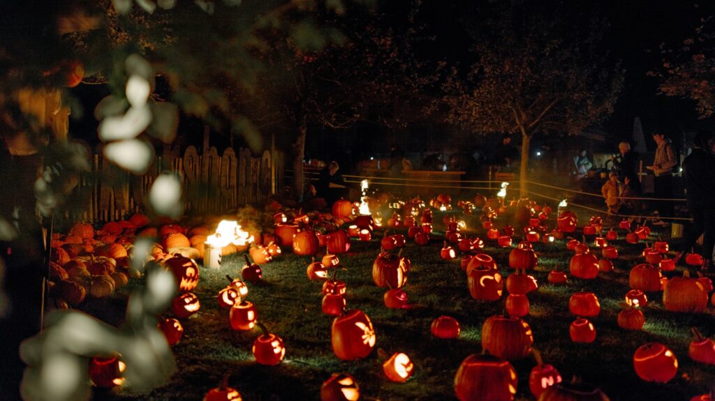 Pumpkin Light Night 2025