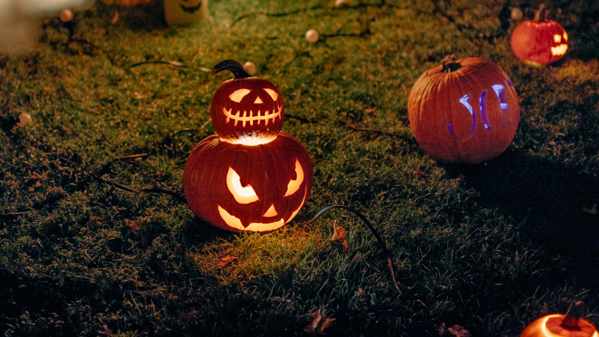 Halloweenkürbis an der Pumpkin Light Night