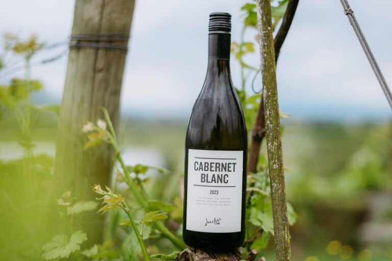 Cabernet Blanc