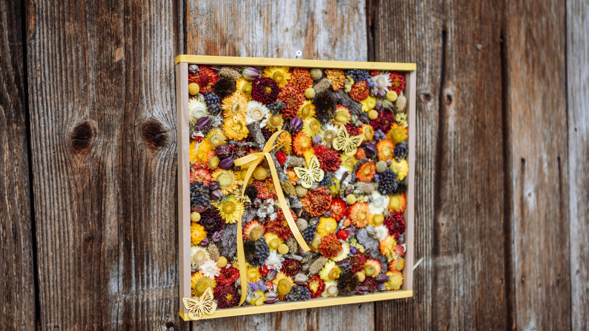 Bild aus Trockenblumen