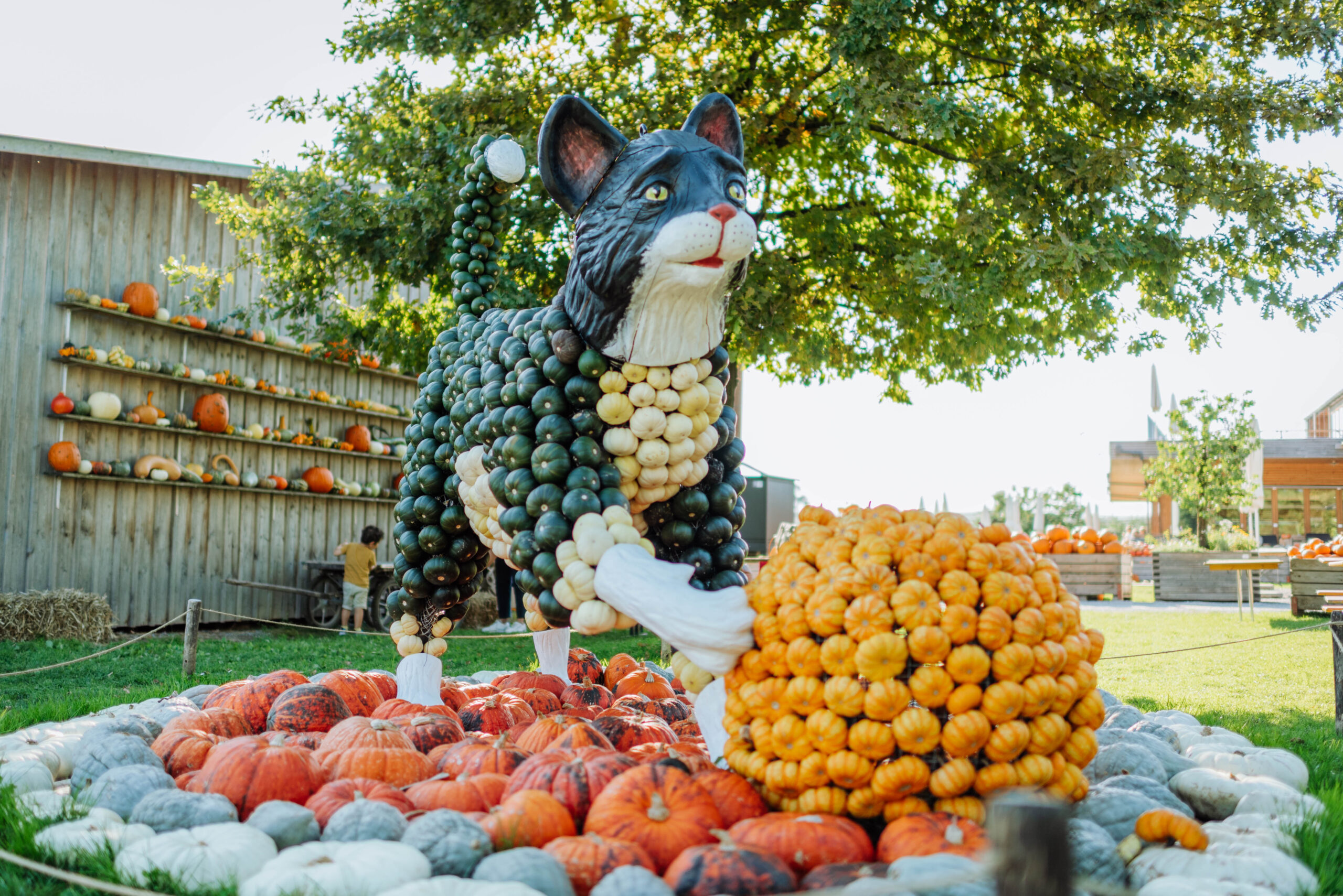 Unsere berühmten Kürbisfiguren können auch gemietet werden, zusammen mit weiteren Naturkunstelementen.