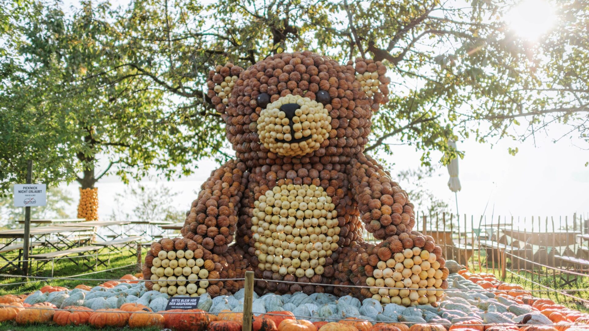 Kürbisfigur Teddybär