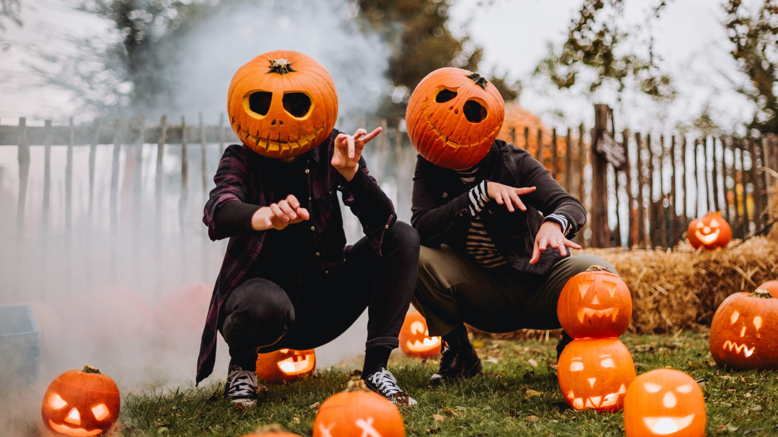 JuckerFarm Kürbisköpfe 32 Kürbisköpfe