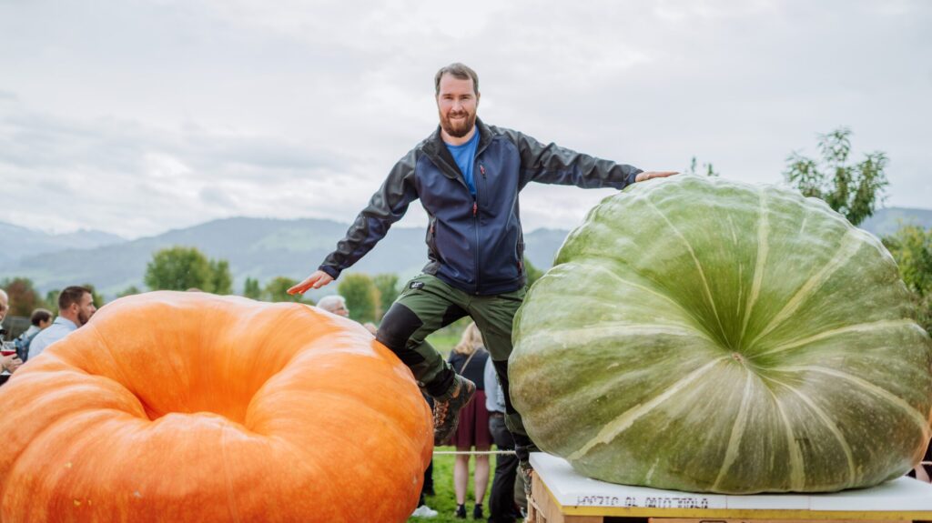 Kürbiswiegen 2025